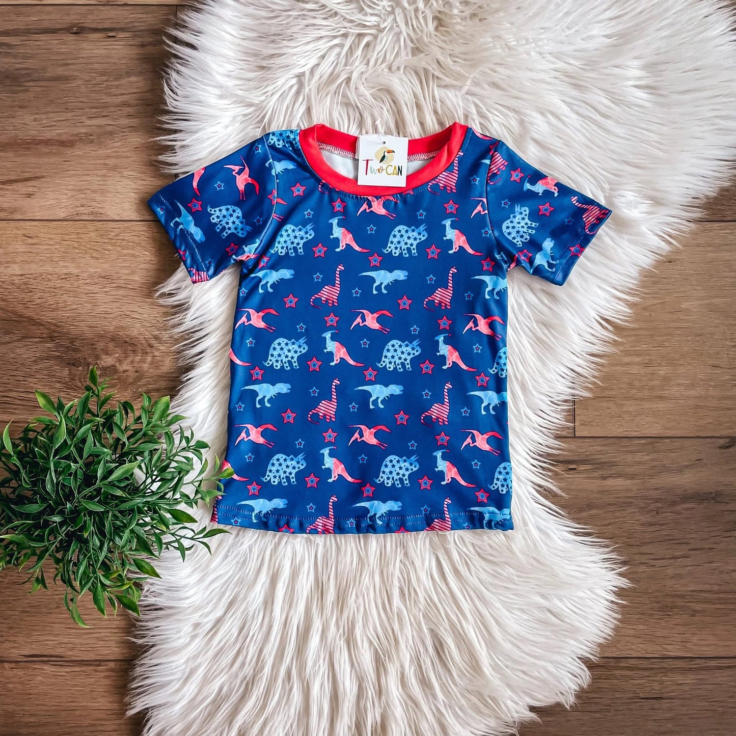 Dino Tshirt - 2t